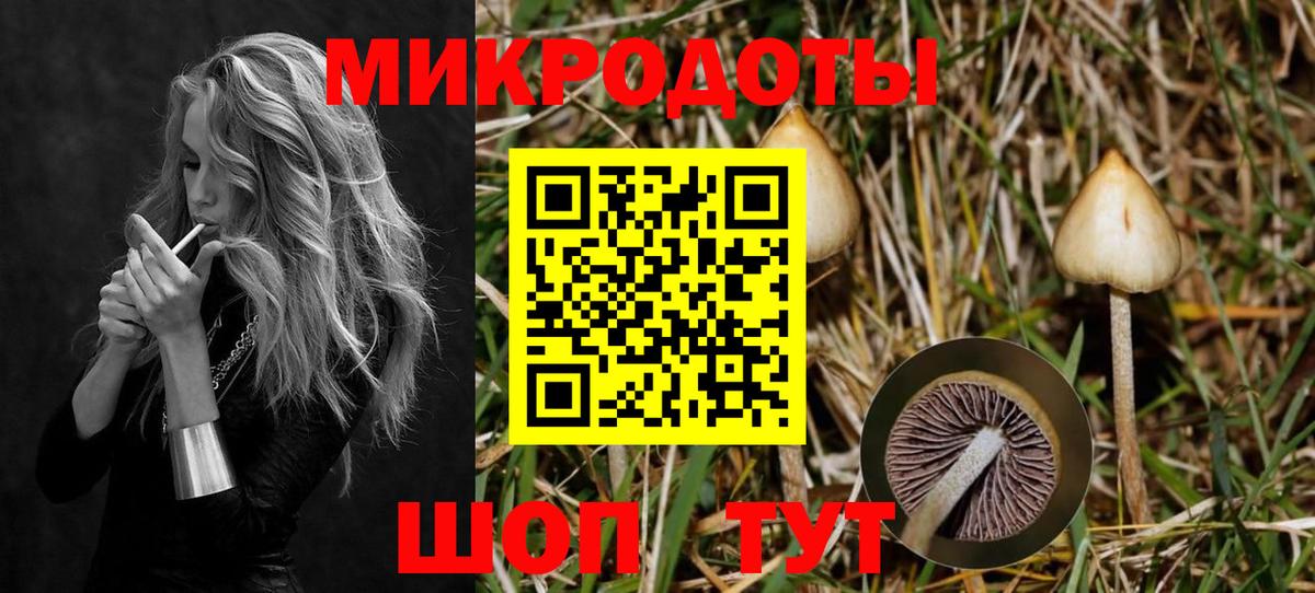 Галлюциногенные грибы мухоморы Бийск