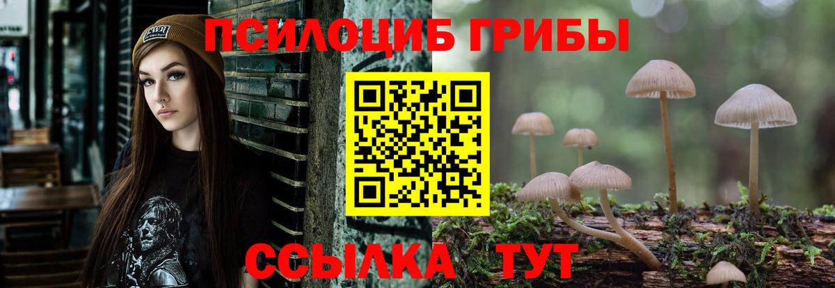 Псилоцибиновые грибы Psilocybe  купить наркотик  Бийск  Вход с VPN 
